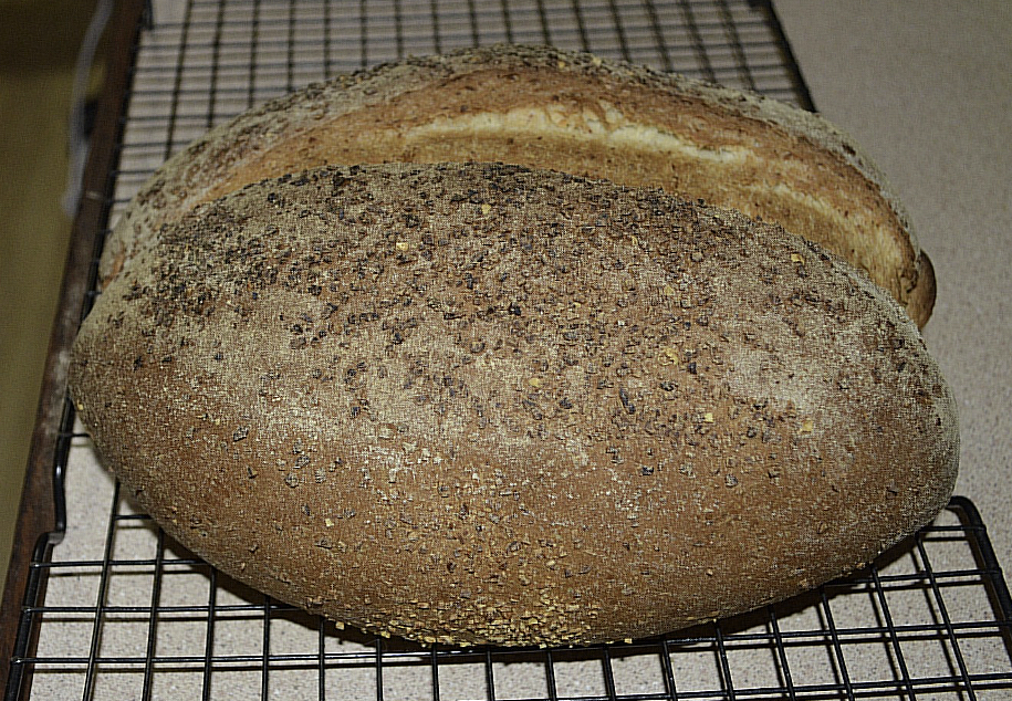 15 Australian Sweet Lupin flour The Fresh Loaf